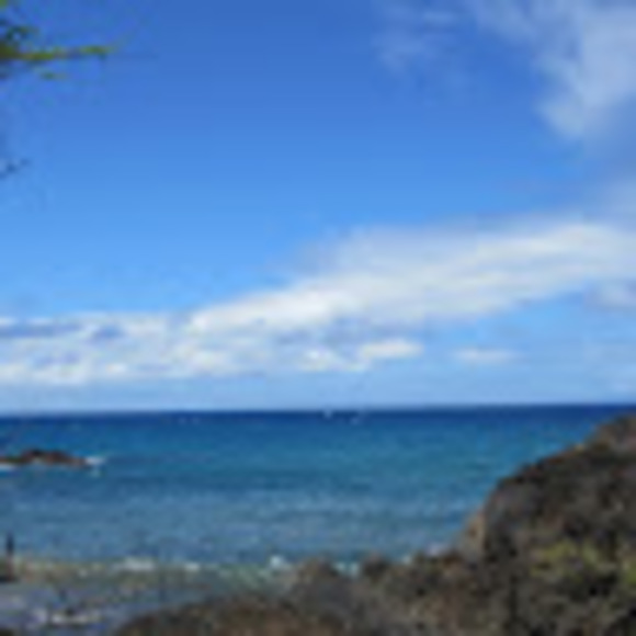 Meet your Posher, Leigh - Picture 1 of 1